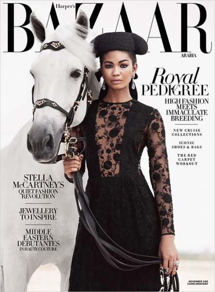 Chanel Iman For Harper’s Bazaar Arabia November 2015 Issue1