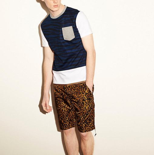 Coach Tiger Printed Tee Shirt With Band1